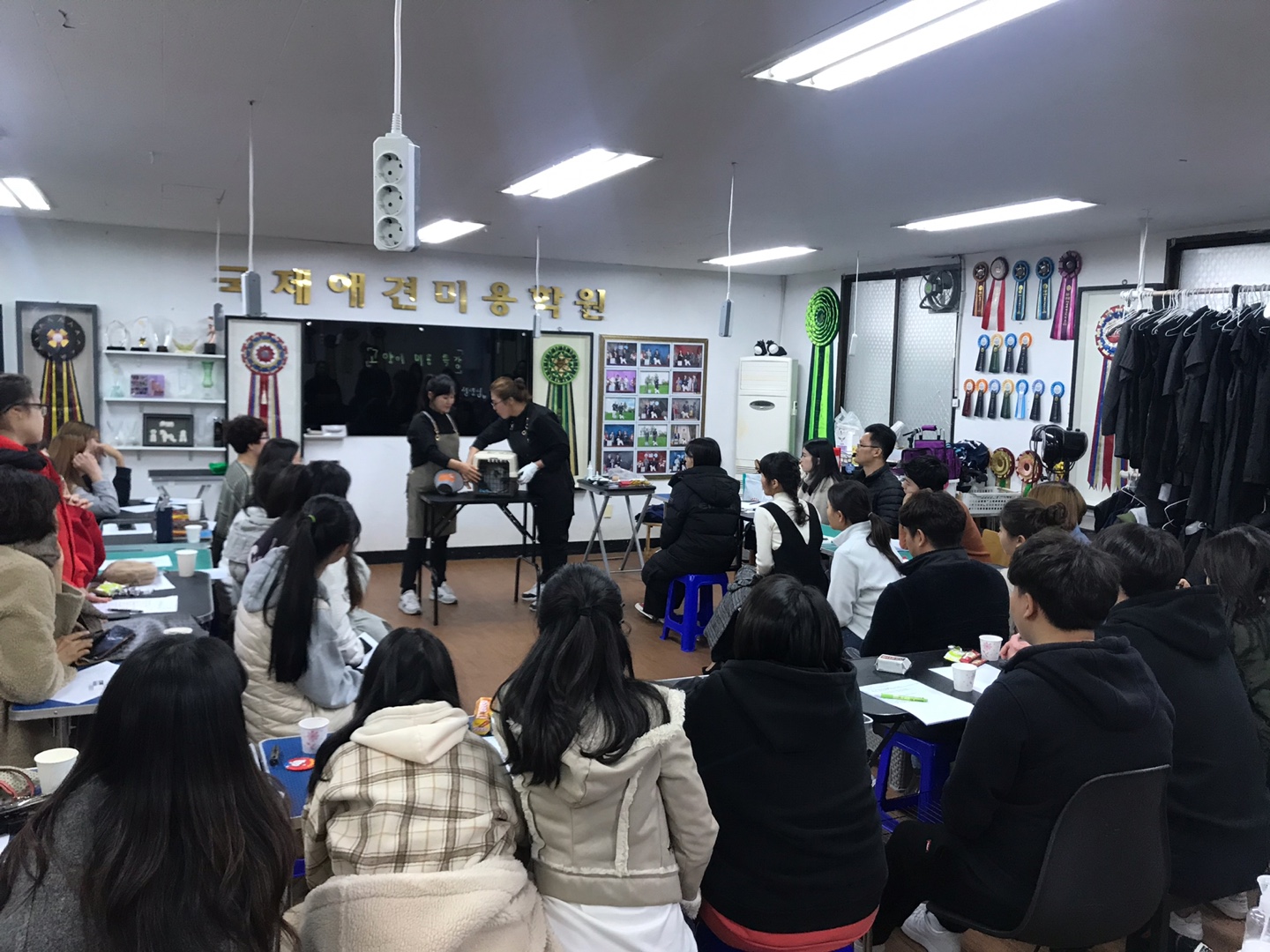 http://www.gjgrooming.com/bs/se2/imgup/1574504344KakaoTalk_20191119_200132205.jpg