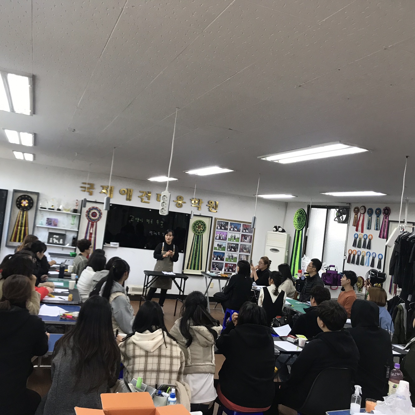 http://www.gjgrooming.com/bs/se2/imgup/1574504344KakaoTalk_20191119_200203873.jpg
