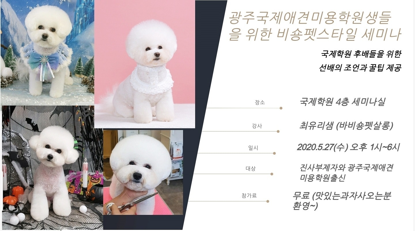 http://www.gjgrooming.com/bs/se2/imgup/1590230242KakaoTalk_20200523_162436318.jpg