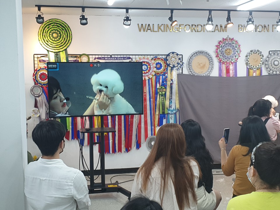 http://www.gjgrooming.com/bs/se2/imgup/1595907484KakaoTalk_20200727_204857568.jpg